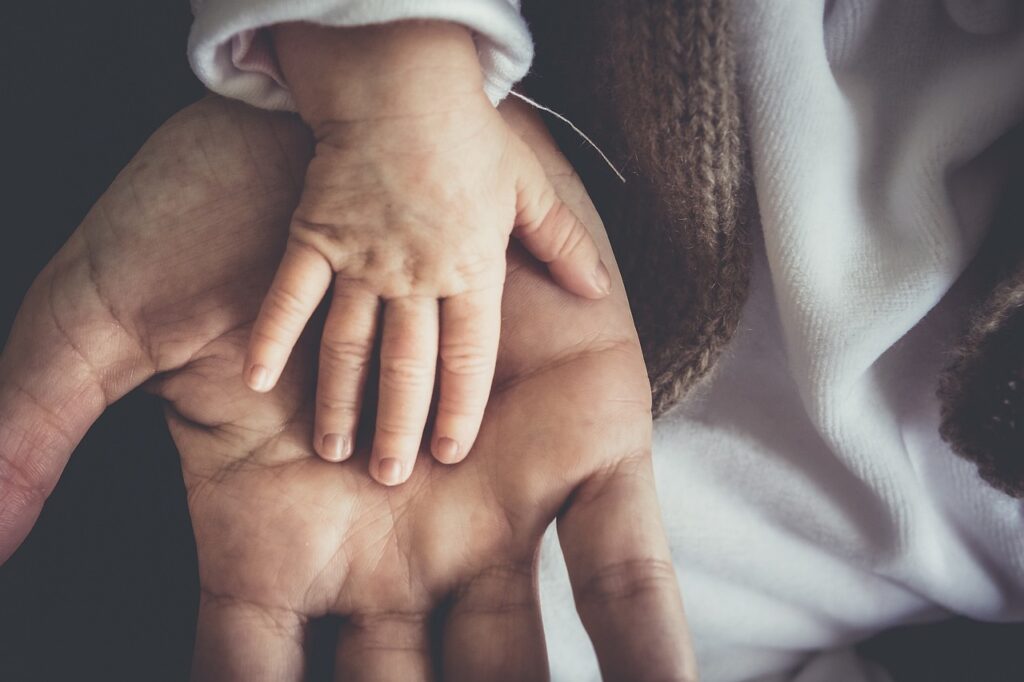 子育てに最適な米はどこで安く買える？