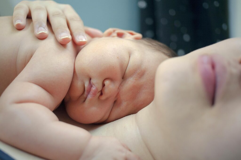 子育て中の家庭におすすめの無農薬お米は？