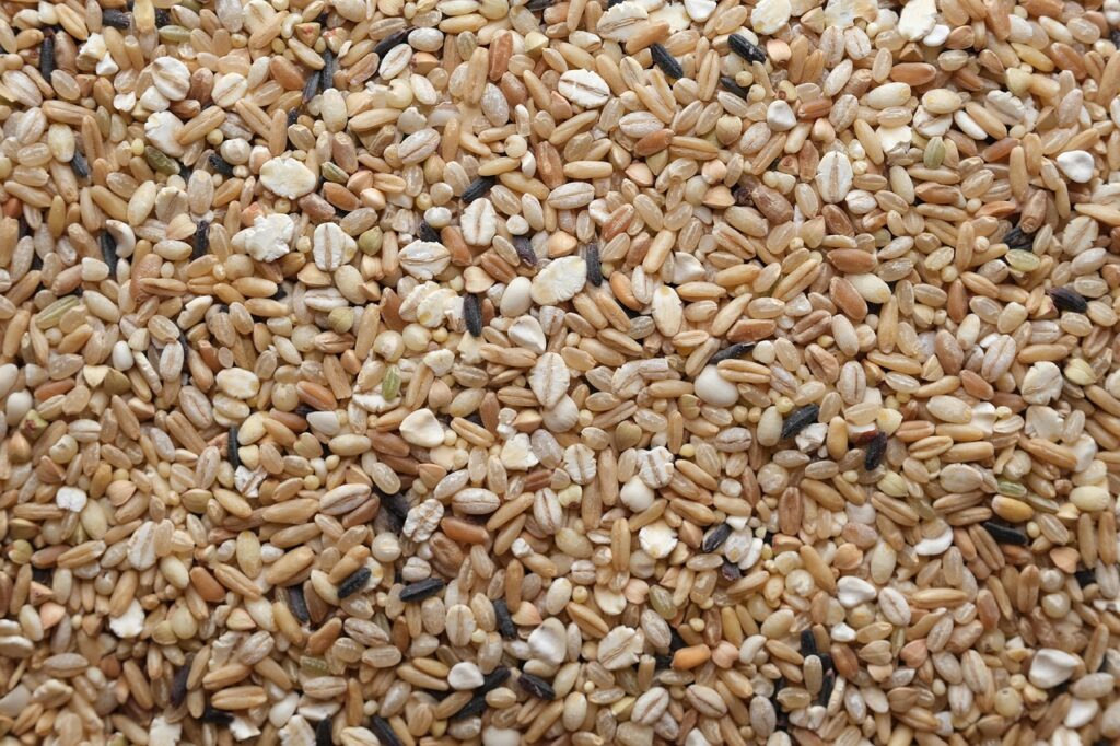 玄米アレルギーを持つ子供におすすめの食事は？