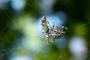 無洗米を子供に食べさせるおすすめの方法は？