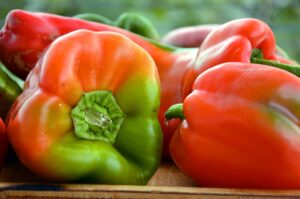 食物繊維が豊富なお米の健康効果とは？